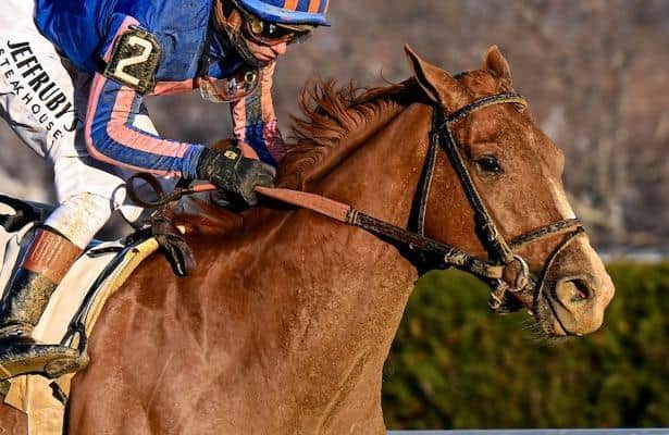 Paladin's first job since winning Risen Star