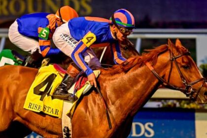 Paladins maintain top of power rankings for first time in three years ahead of busy weekend of Derby preparations