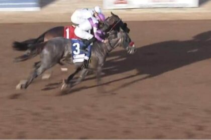 Pavlov nails Express Kid to wires at Sunland Park Derby
