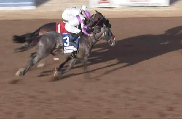 Pavlov nails Express Kid to wires at Sunland Park Derby
