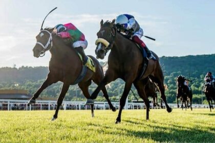 Pennsylvania National Parks reopen next week with bigger wallets