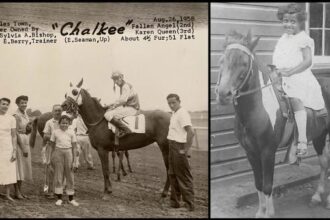 Perseverance made Sylvia Bishop a racing pioneer: 'I knew what I wanted to do'