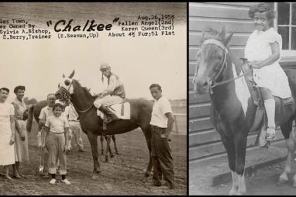 Perseverance made Sylvia Bishop a racing pioneer: 'I knew what I wanted to do'