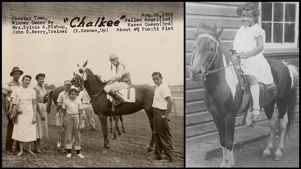 Perseverance made Sylvia Bishop a racing pioneer: 'I knew what I wanted to do'