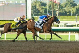 Plutarch defeats Intrepid with Robert B. Lewis