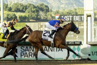 Plutarch wins the Robert B. Lewis Stakes in a big step for Baffert on the Derby Trail.
