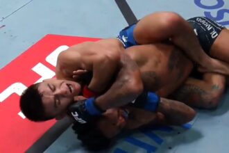 Mario Bautista, UFC Vegas 113, Pros react, Vinicius Oliveira, UFC