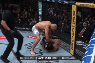 Sean Strickland, Anthony Hernandez, UFC Houston, Pros react, UFC