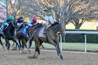 Quiet tactics produce notable scores in the South West