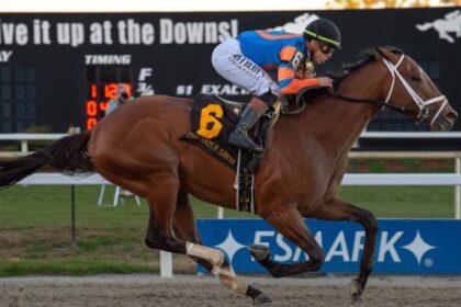 Renegades find success with big Derby Prep win at Tampa Bay Downs
