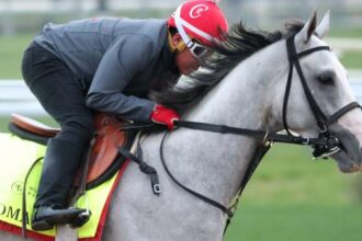 Sandman returns: fan favorite gears up for debut in 2026 on Saturday