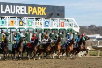 See who won Saturday's fastest speed numbers