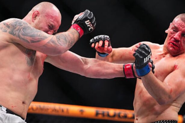 Serghei Spivac vs. Ante Delija - UFC Houston Highlights