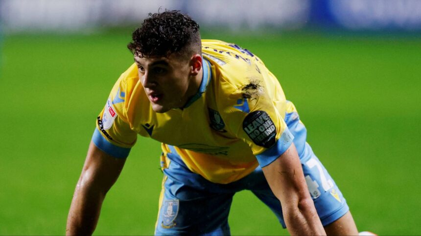 Sheffield on Wednesday aim to sign new striker Cadamartelli 2.0