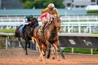 Skippylongstocking returns and leads by 29 on the tab.