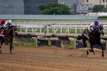 Solitude Dude can show winning speed in Fountain of Youth Stakes