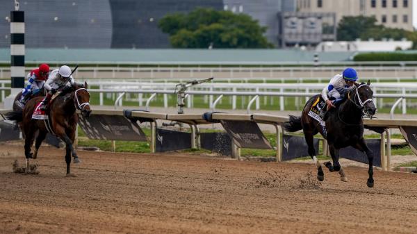 Solitude Dude can show winning speed in Fountain of Youth Stakes