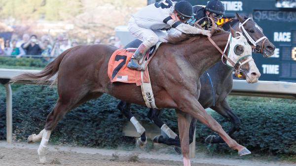 Stars of Yesterday: A look back at the top Rebel Stakes winners