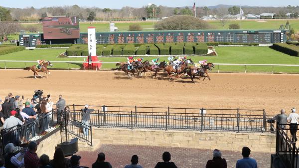 Strategic Risk placed top in competitive Southwest Stakes