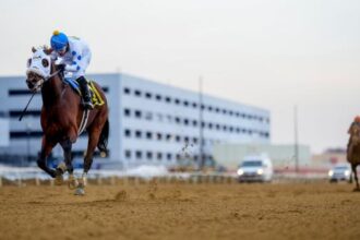 Talk to Me Jimmy Answers the Phone in Wizards Runaways