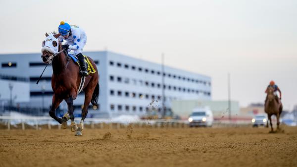 Talk to Me Jimmy Answers the Phone in Wizards Runaways