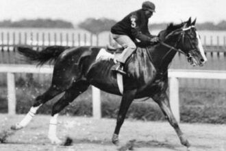 The epic journey of James Wink Winkfield