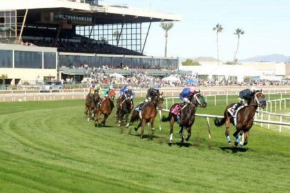 These are last week's fastest stakes winners