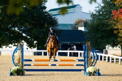 Thoroughbred Aftercare Alliance Announces New Strategic Plan