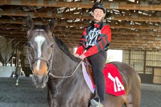 Thoroughbred Aftercare Alliance Success Story: A Second Chance for a Resilient Heart Horse