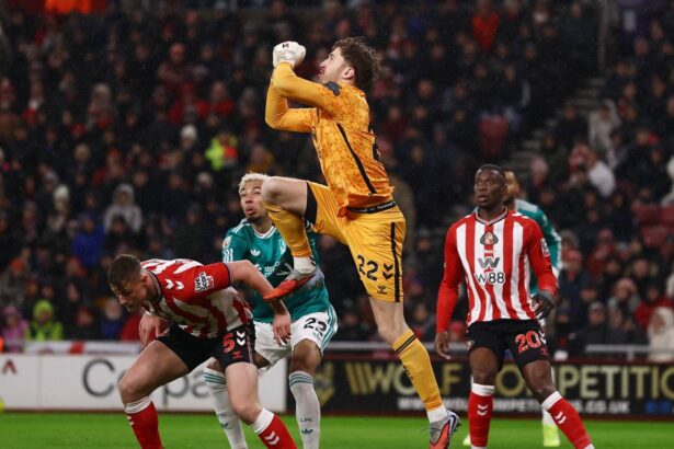 Tottenham are plotting to sign Robin Roofs from Sunderland. He could cost £50 million.