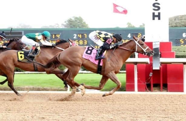 Touchdown Arkansas wins No Double Breeders Stakes