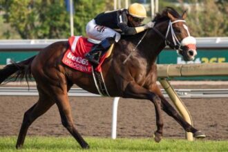 Two-out hero John Battaglia ready for victory in the S.