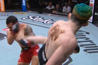 Melquizael Costa, Dan Ige, UFC Houston, Results, UFC