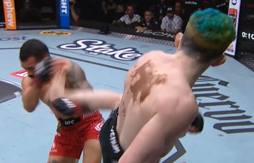 Melquizael Costa, Dan Ige, UFC Houston, Results, UFC