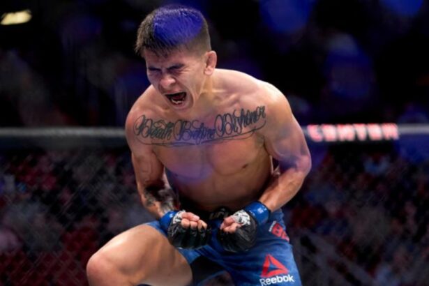 Mario Bautista, UFC 316, MMA, Patchy Mix