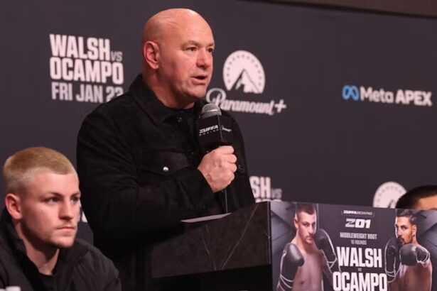 Dana White, UFC, Zuffa boxing