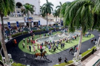 Viewing location: Horse racing broadcast February 26th to March 1st