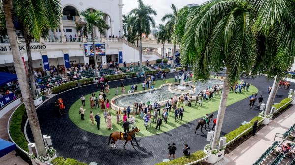 Viewing location: Horse racing broadcast February 26th to March 1st