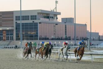 Where to watch: Horse racing broadcast February 19-22