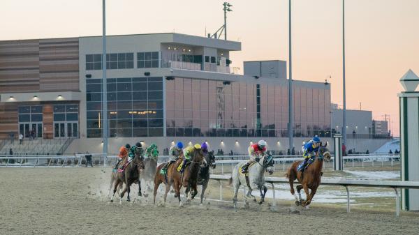 Where to watch: Horse racing broadcast February 19-22