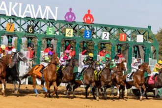Where to watch: Horse racing broadcast February 5th to 8th