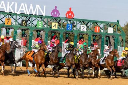 Where to watch: Horse racing broadcast February 5th to 8th