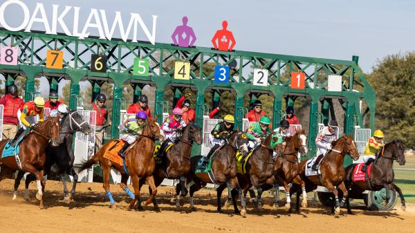 Where to watch: Horse racing broadcast February 5th to 8th
