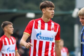 Bayer Leverkusen agree with teenage striker Aleksa Damjanovic