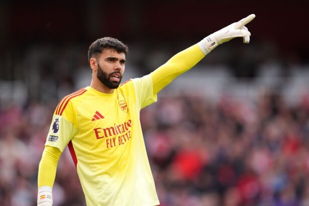 “That’s why we play at Arsenal” – goalkeeper David Raya on prospects of winning multiple trophies this season (video)
