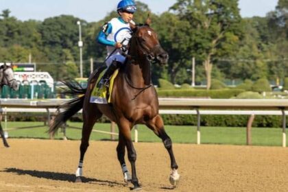 12 horses that won major prizes are nominated.