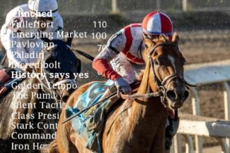 14 horses appear to be participating in the 2026 Kentucky Derby.