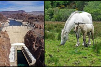 17 words that mean something different to Kentucky Derby fans