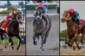 2026 Florida Derby Cheat Sheet