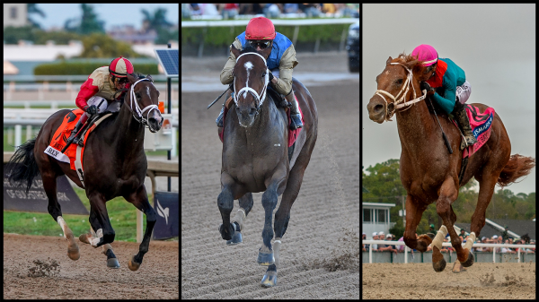 2026 Florida Derby Cheat Sheet